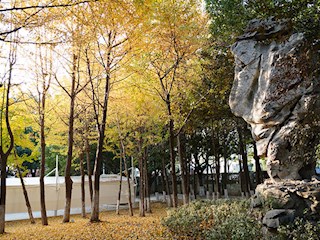 校园一角（1）