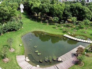 校园池塘